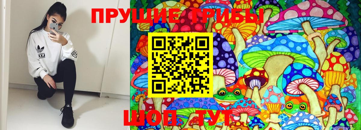 Галлюциногенные грибы Magic Shrooms  Вход с VPN  Анжеро-Судженск  Галлюциногенные грибы GOLDEN TEACHER 